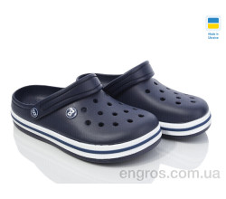 Кроксы Golden Lion